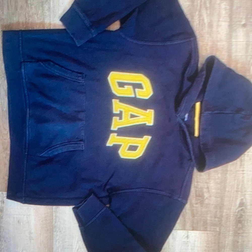 Gap Blue Spell Out Pullover Hoodie sweater